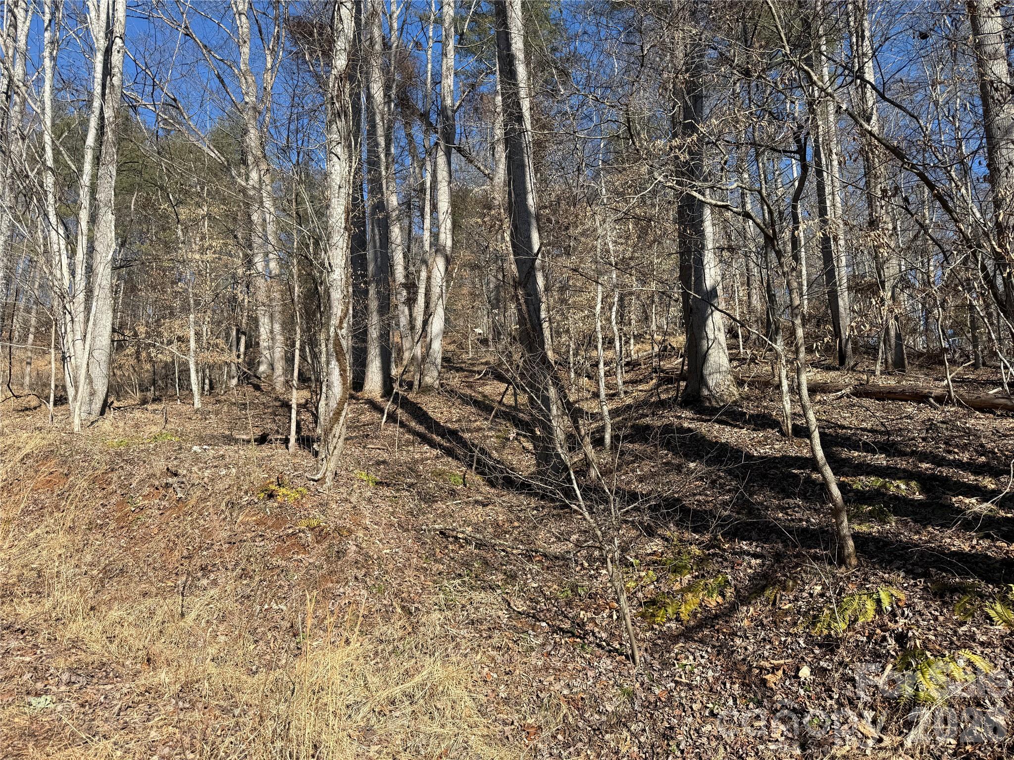999 Echo Hill Drive Green Mountain NC 28740