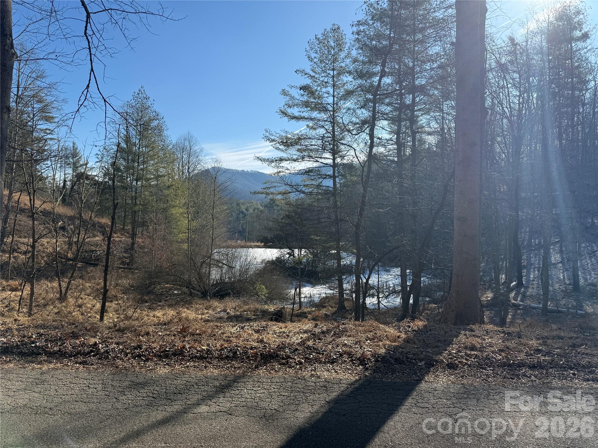999 Echo Hill Drive Green Mountain NC 28740