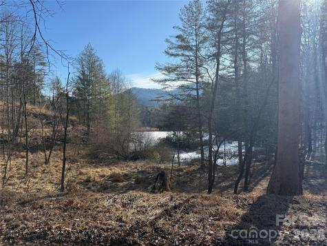 999 Echo Hill Drive Green Mountain NC 28740