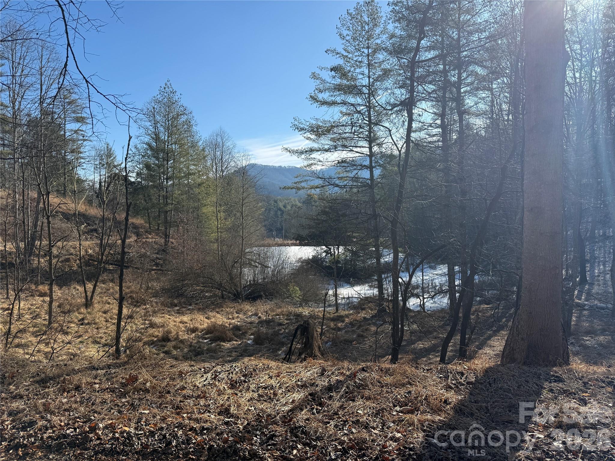 999 Echo Hill Drive Green Mountain NC 28740