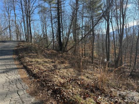 999 Echo Hill Drive Green Mountain NC 28740