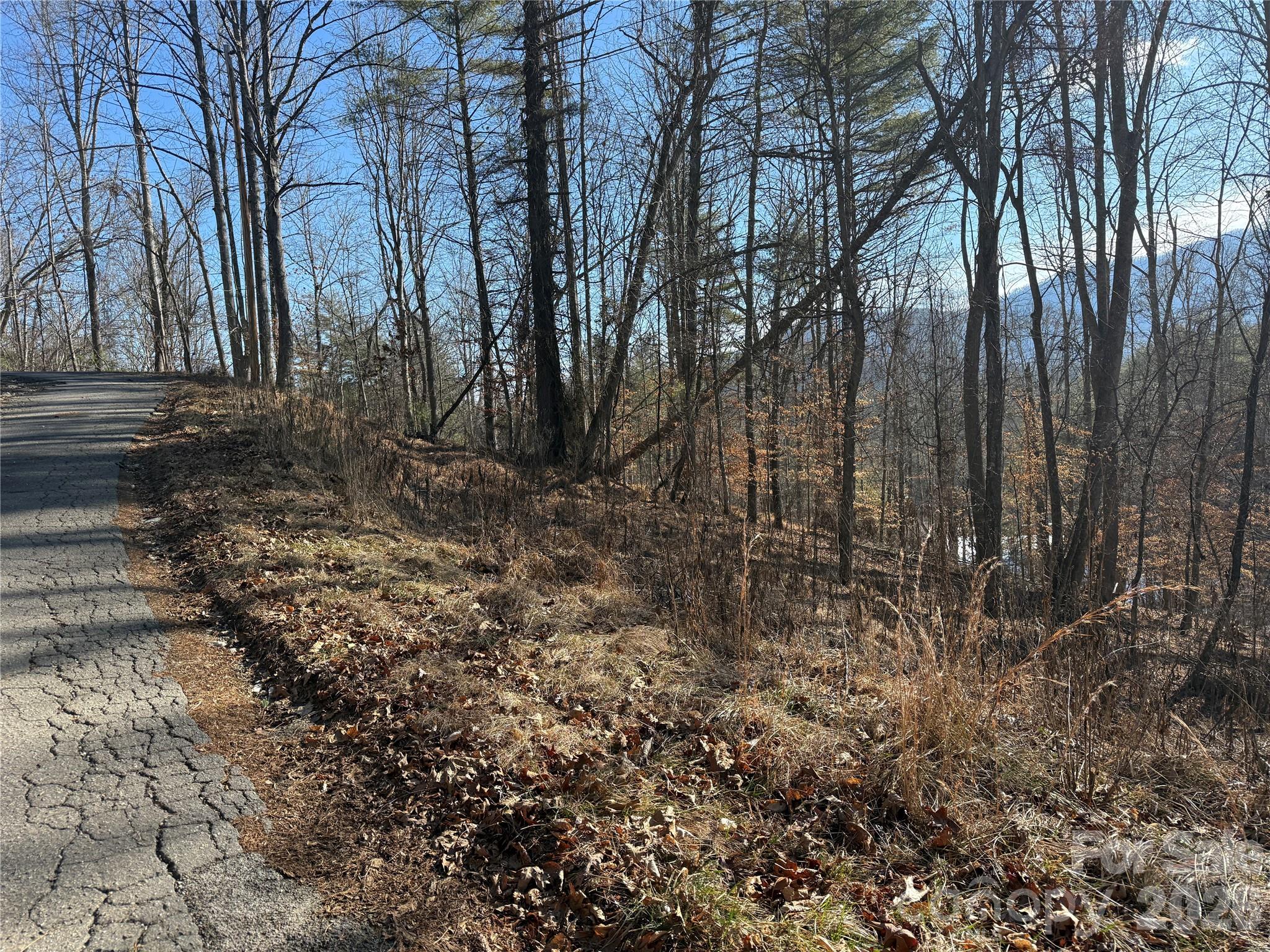 999 Echo Hill Drive Green Mountain NC 28740