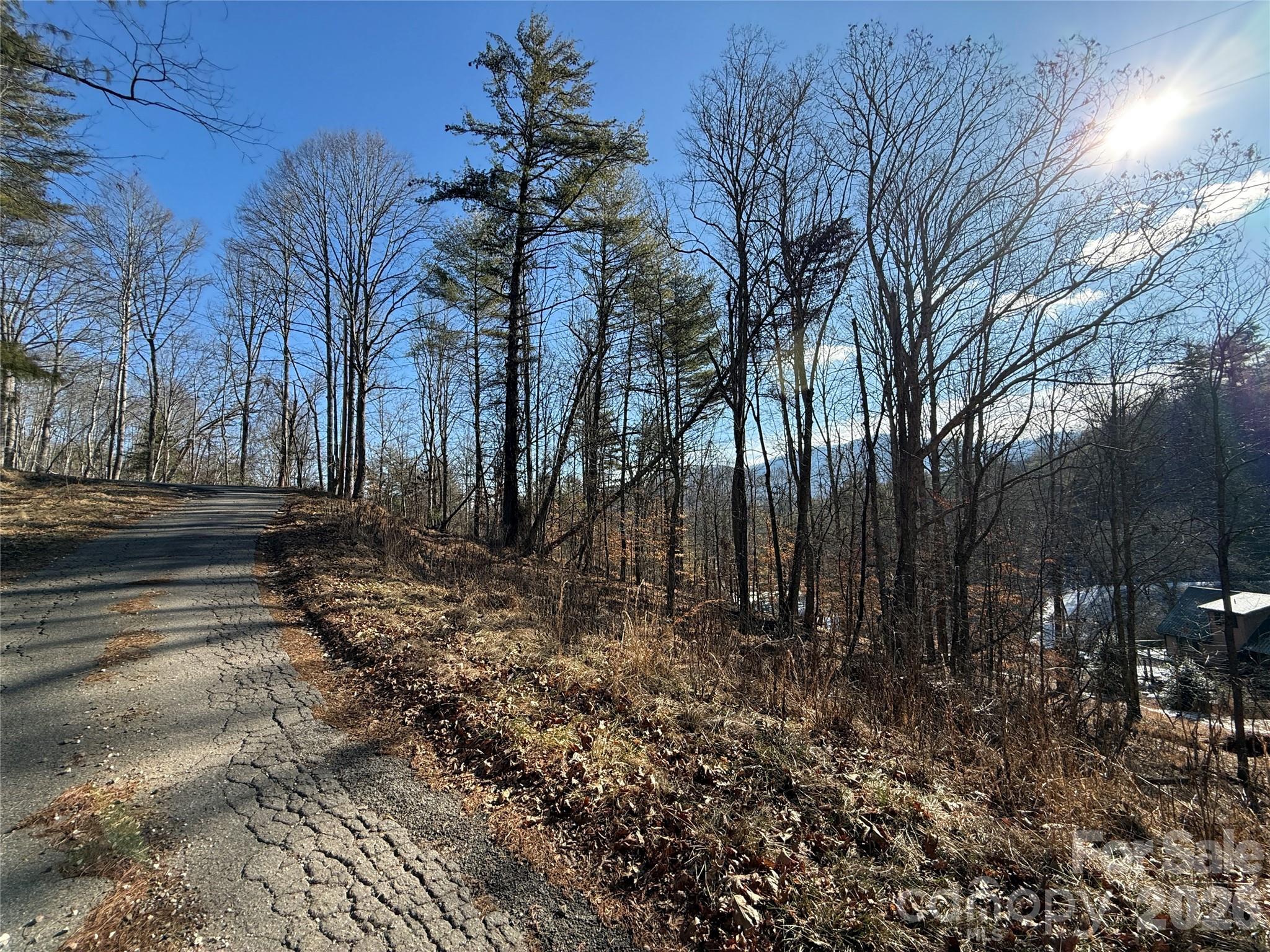 999 Echo Hill Drive Green Mountain NC 28740