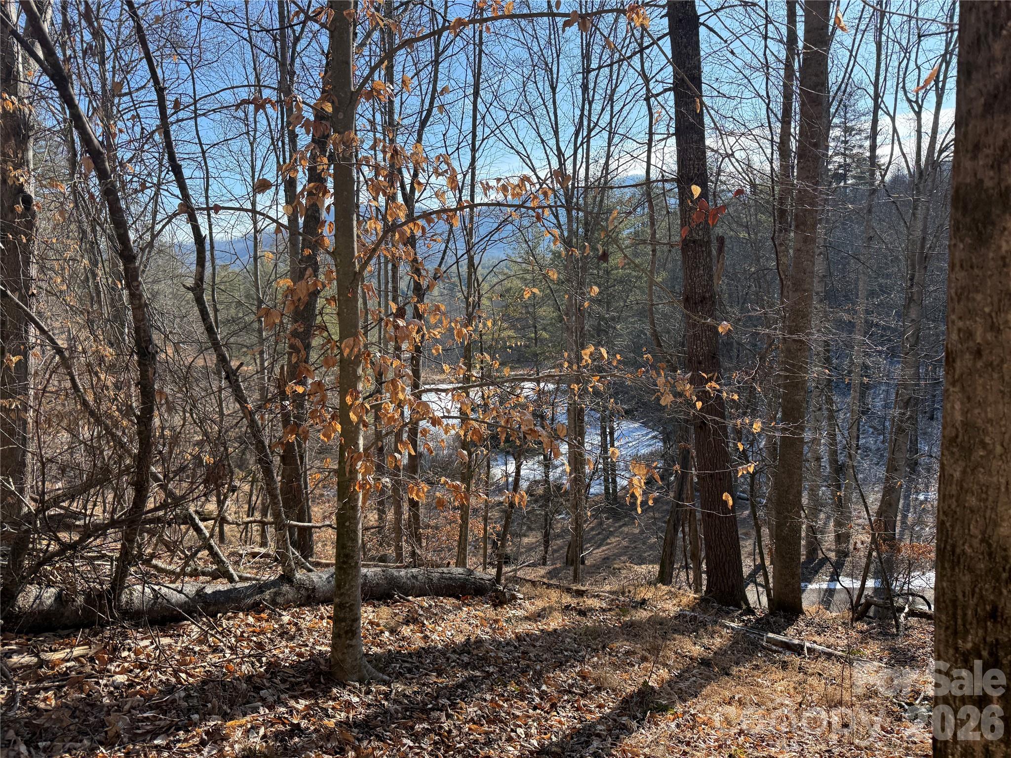 999 Echo Hill Drive Green Mountain NC 28740