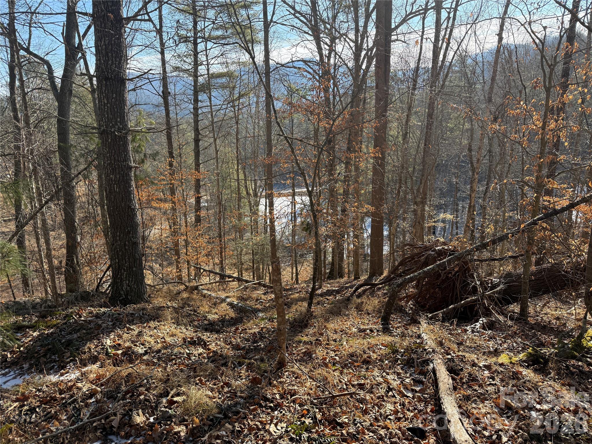 999 Echo Hill Drive Green Mountain NC 28740