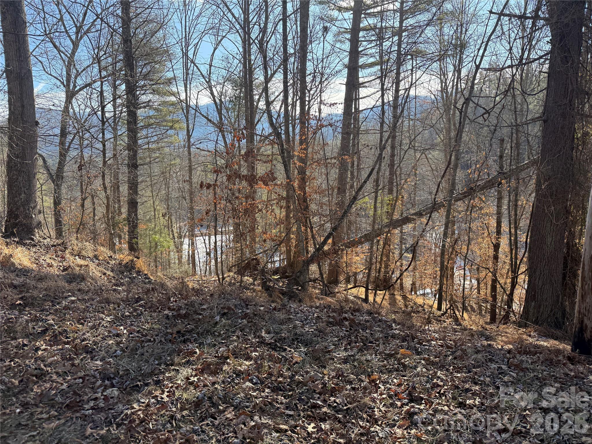 999 Echo Hill Drive Green Mountain NC 28740