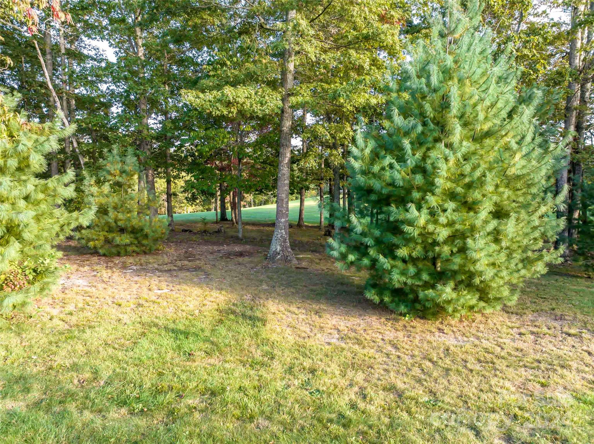 337 Chukar Way Fletcher NC 28732