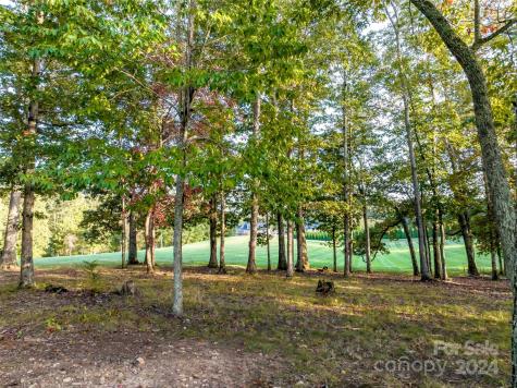 337 Chukar Way Fletcher NC 28732