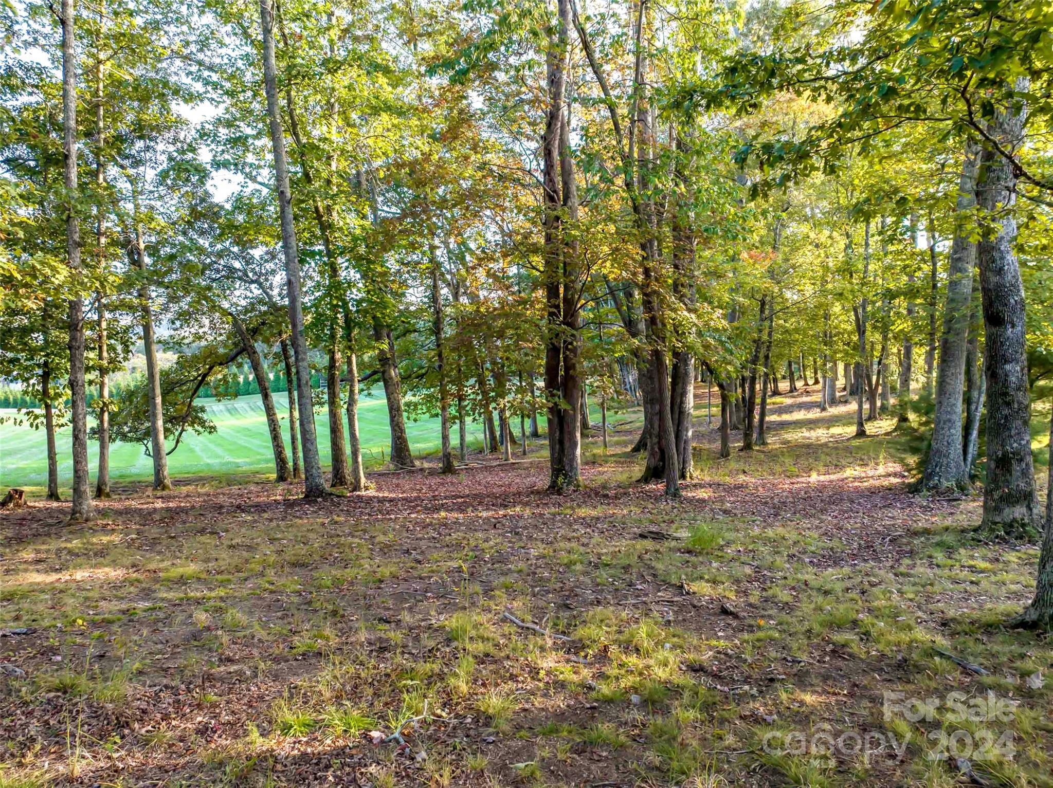 337 Chukar Way Fletcher NC 28732
