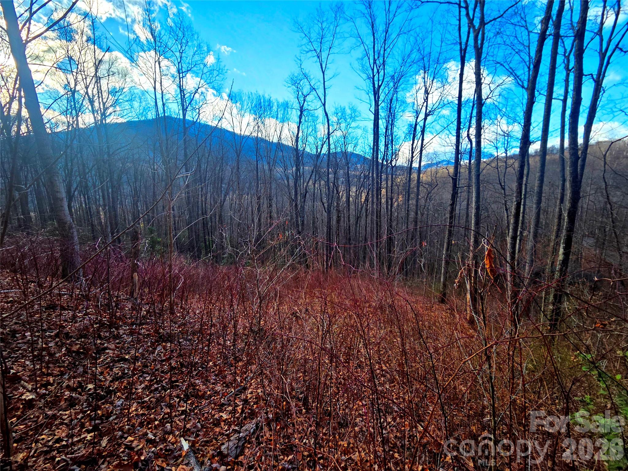 900 Fern Trail Waynesville NC 28786