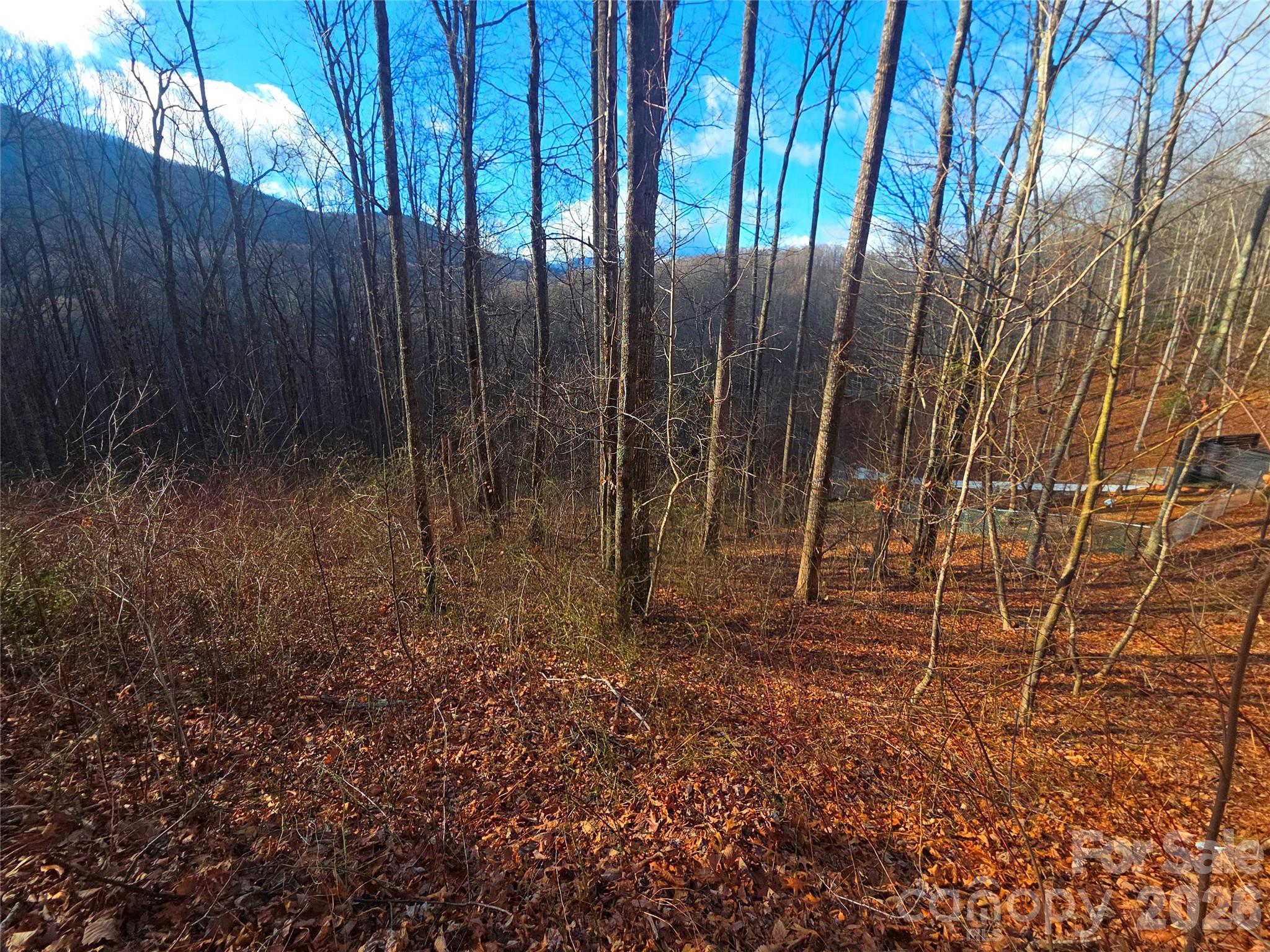 900 Fern Trail Waynesville NC 28786