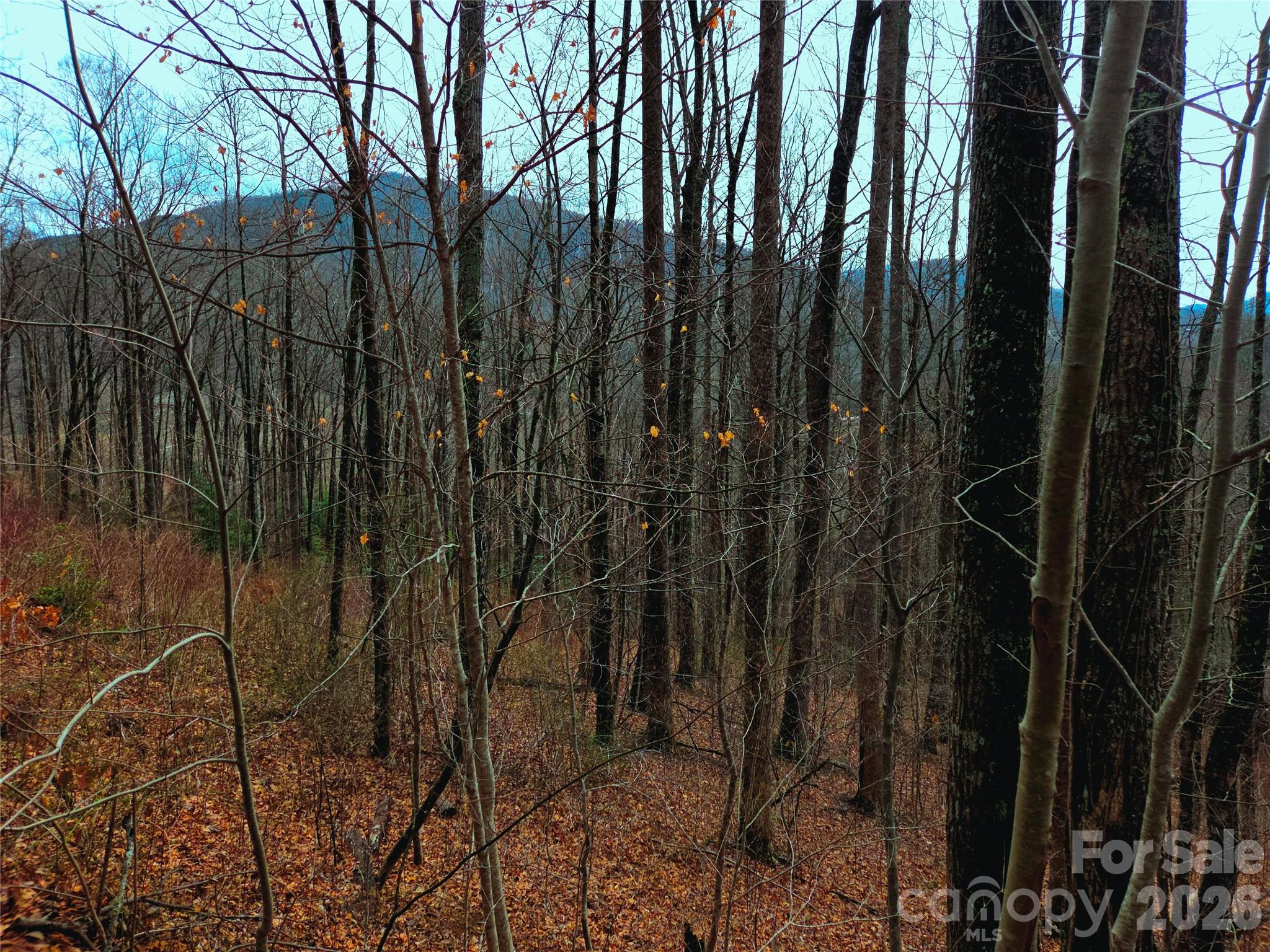 900 Fern Trail Waynesville NC 28786
