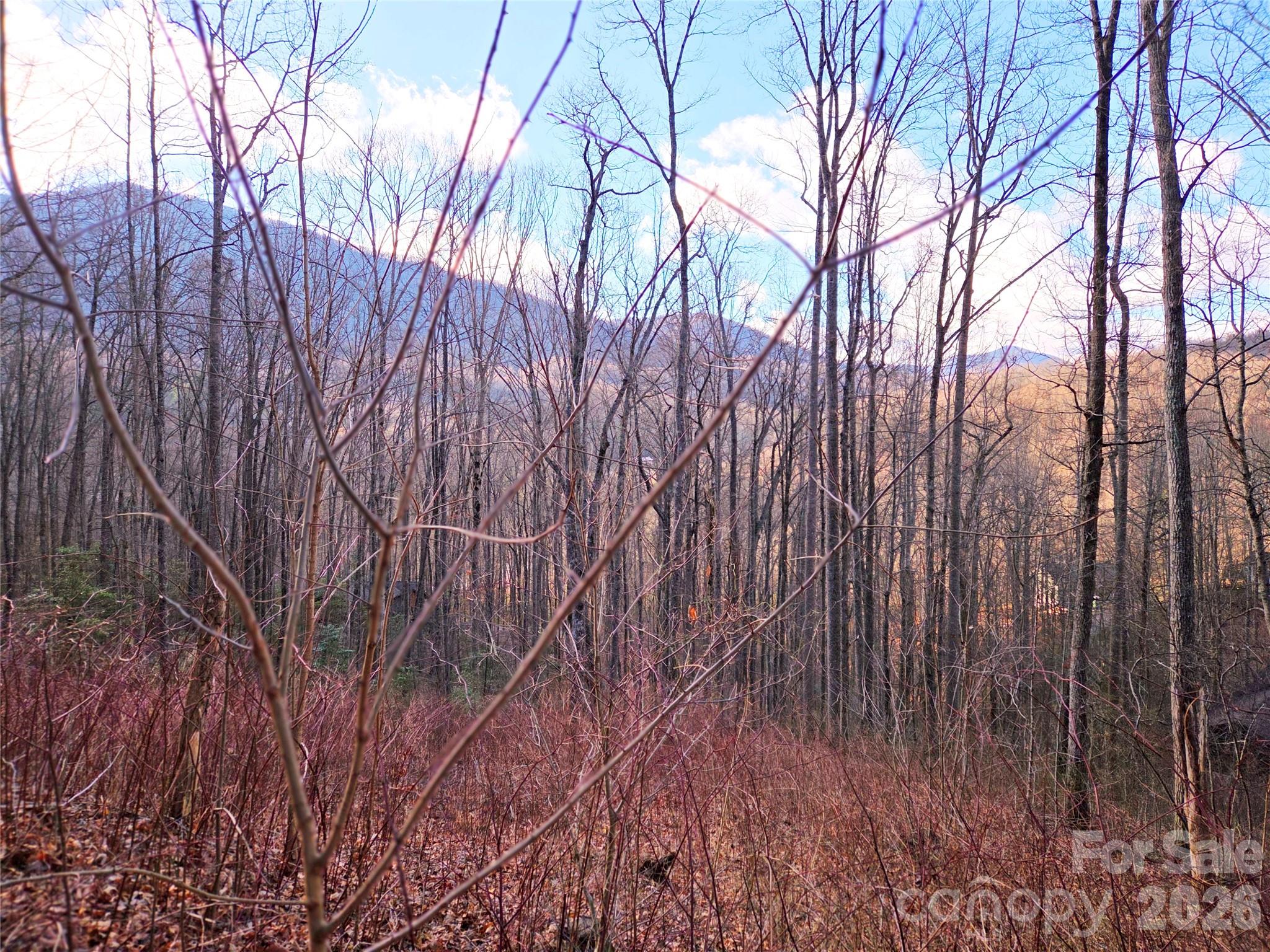 900 Fern Trail Waynesville NC 28786