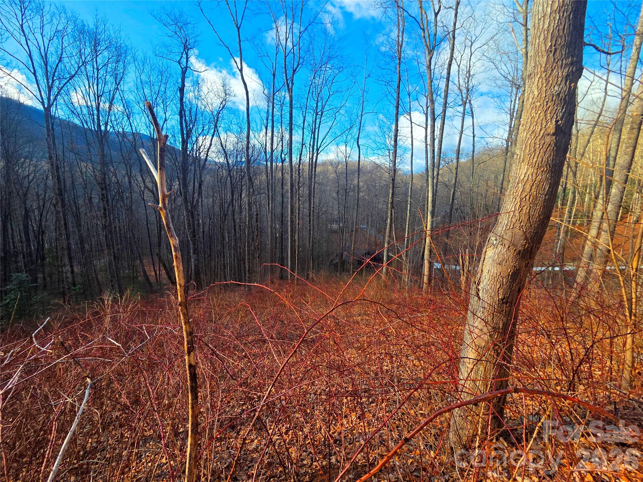 900 Fern Trail Waynesville NC 28786