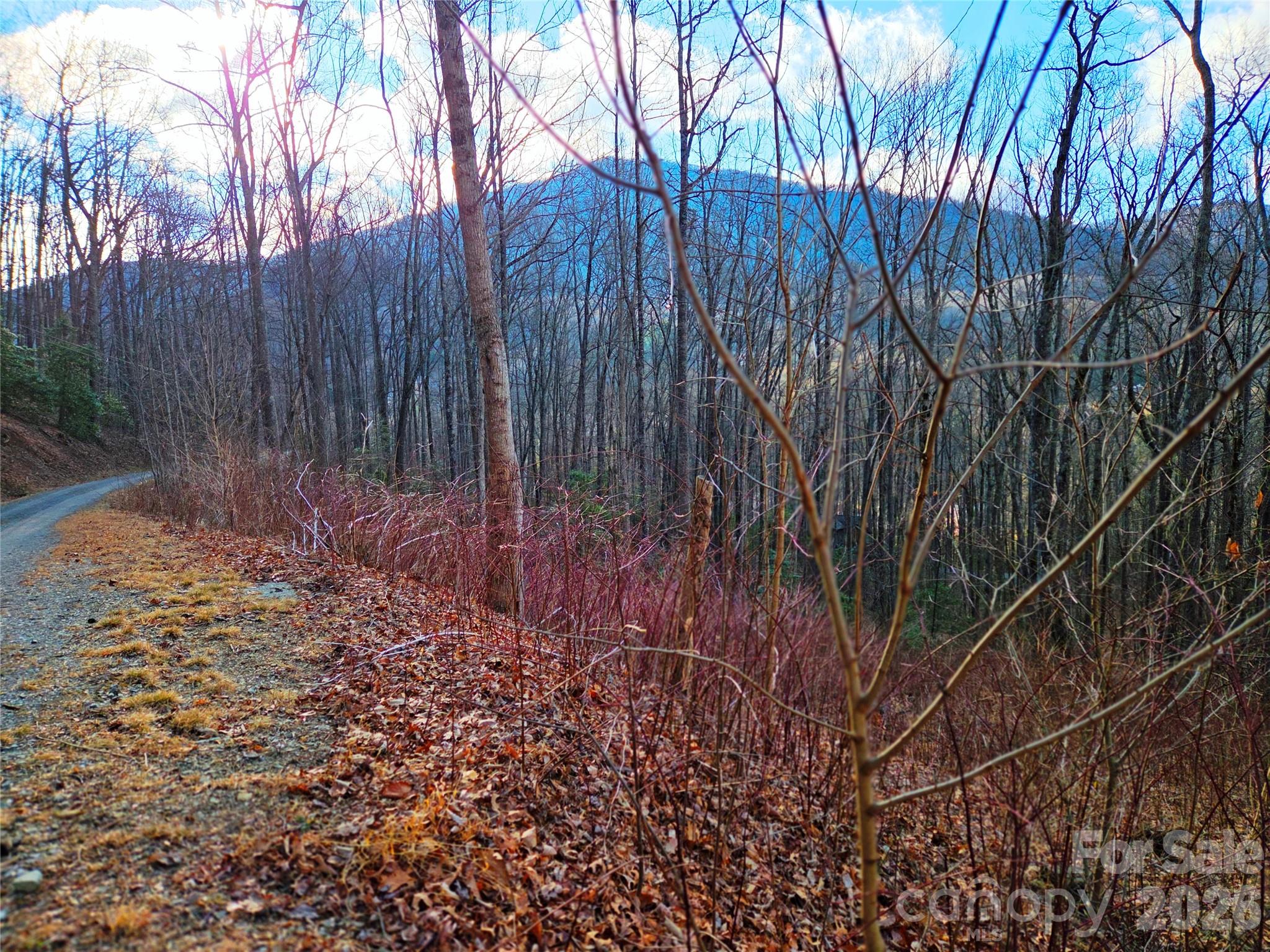 900 Fern Trail Waynesville NC 28786