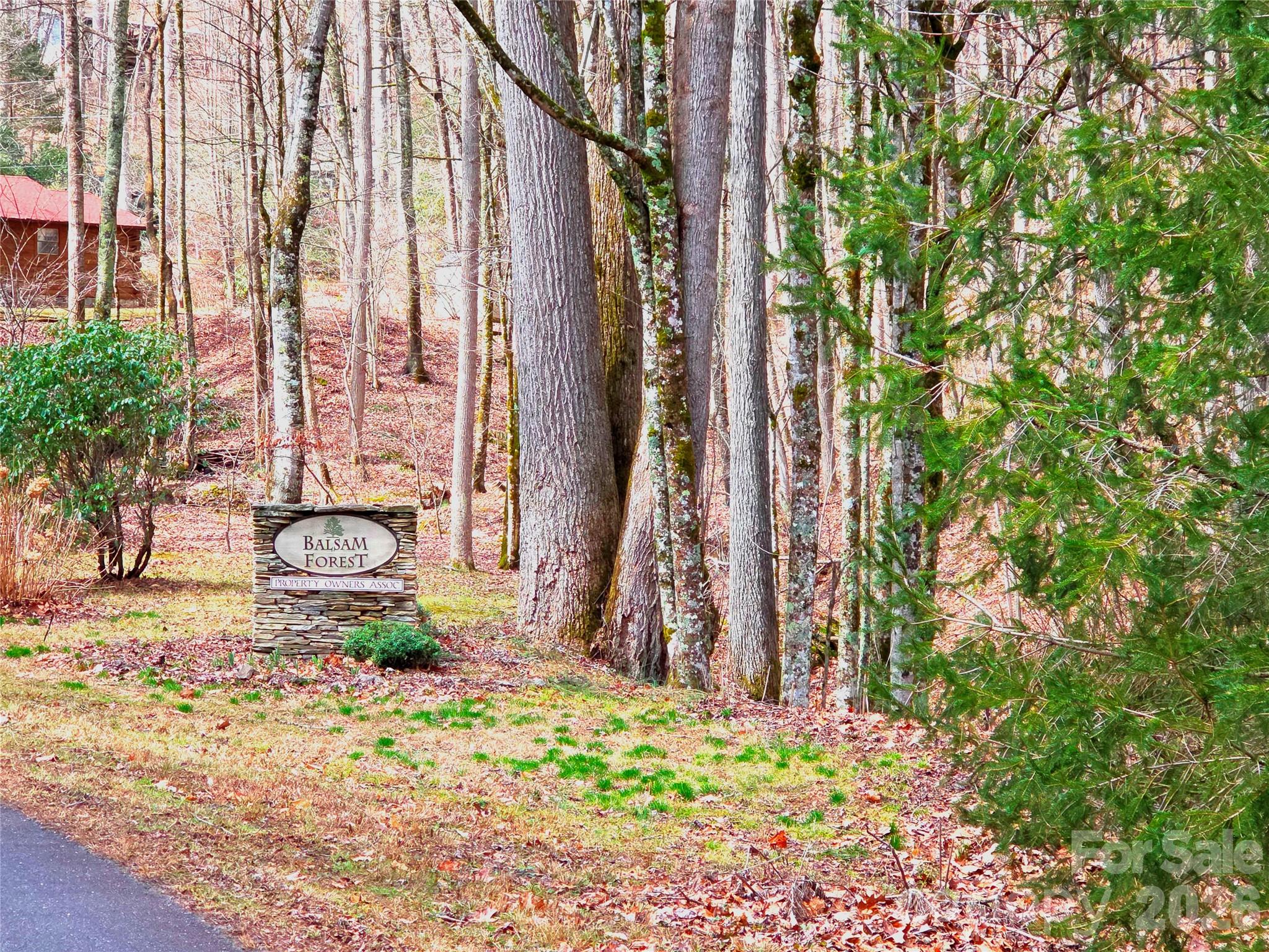 900 Fern Trail Waynesville NC 28786