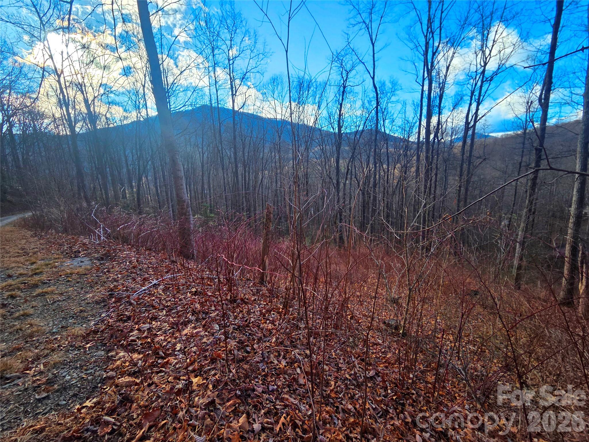 900 Fern Trail Waynesville NC 28786