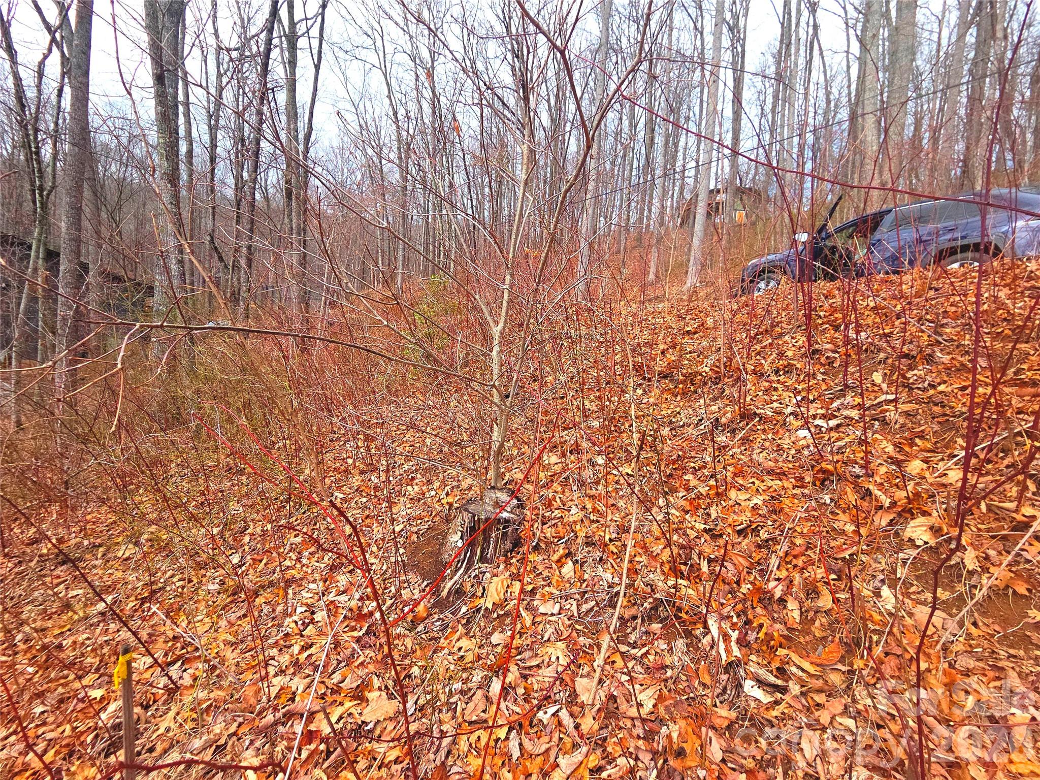 900 Fern Trail Waynesville NC 28786