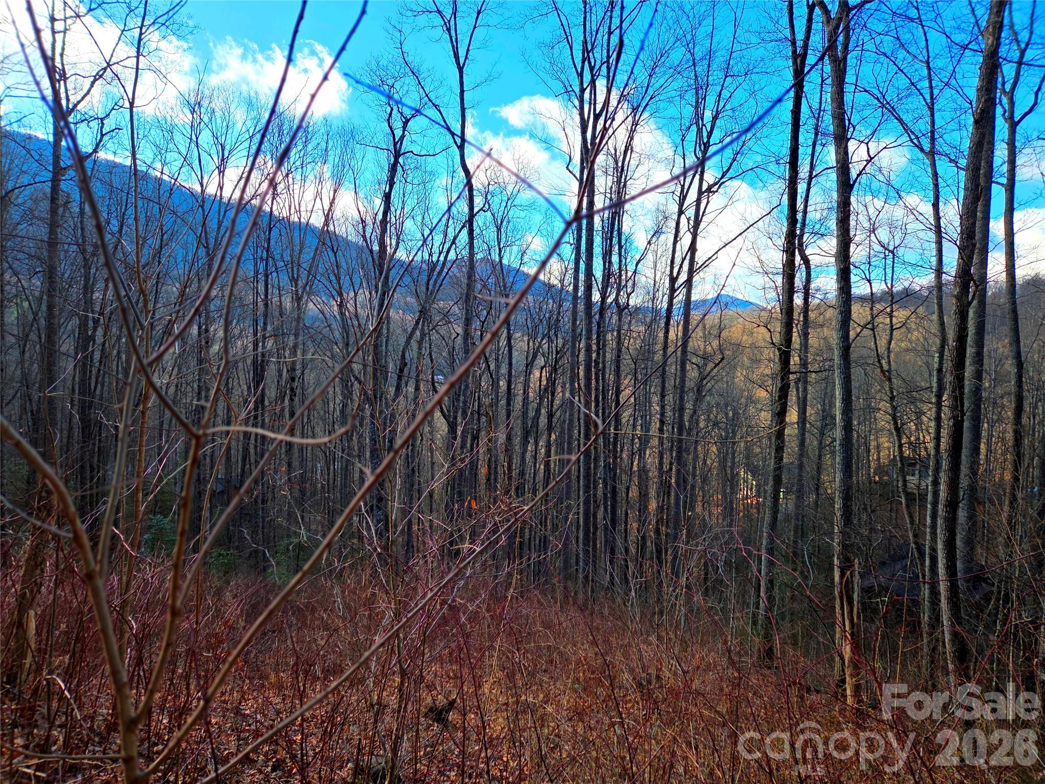 900 Fern Trail Waynesville NC 28786