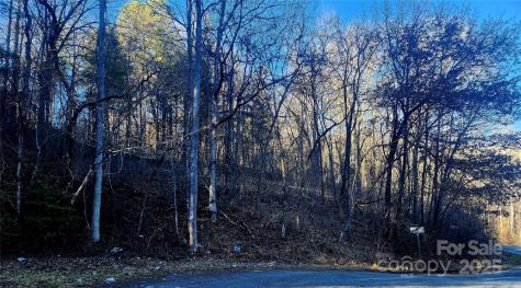 0001 Lyle Wilson Road Cullowhee NC 28723