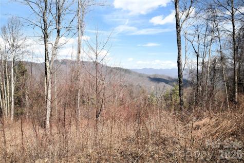 000 Curry Comb Trail Waynesville NC 28785