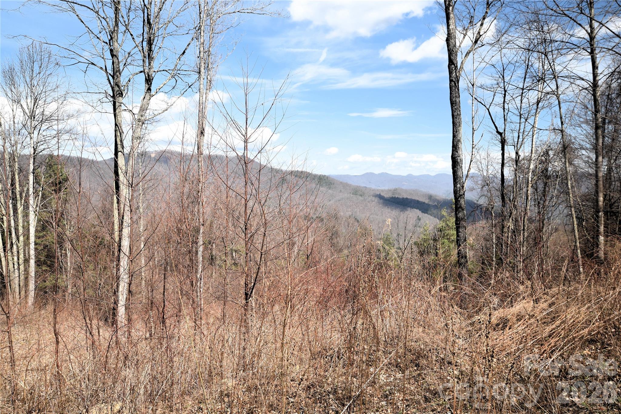 000 Curry Comb Trail Waynesville NC 28785