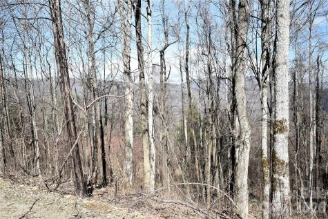000 Curry Comb Trail Waynesville NC 28785