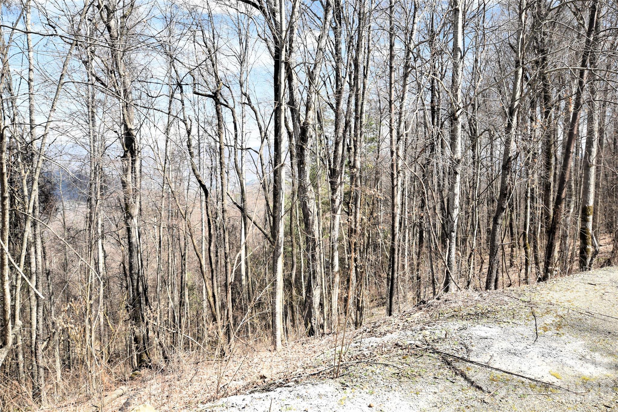 000 Curry Comb Trail Waynesville NC 28785