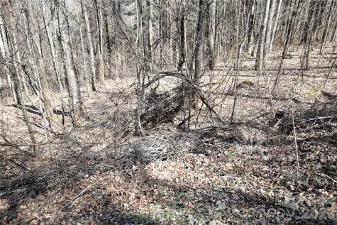 000 Curry Comb Trail Waynesville NC 28785
