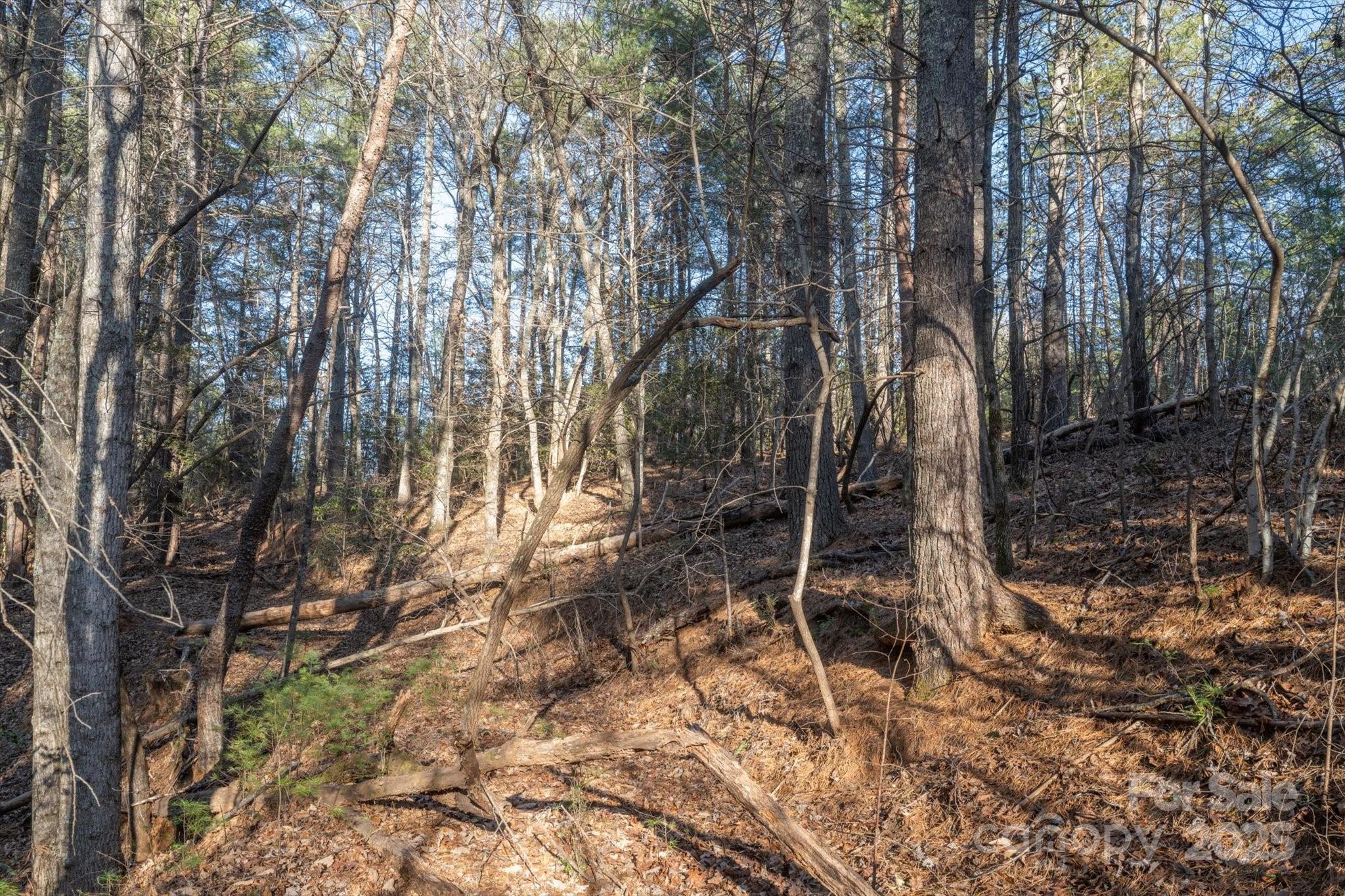 49 Lake James Road Marion NC 28752