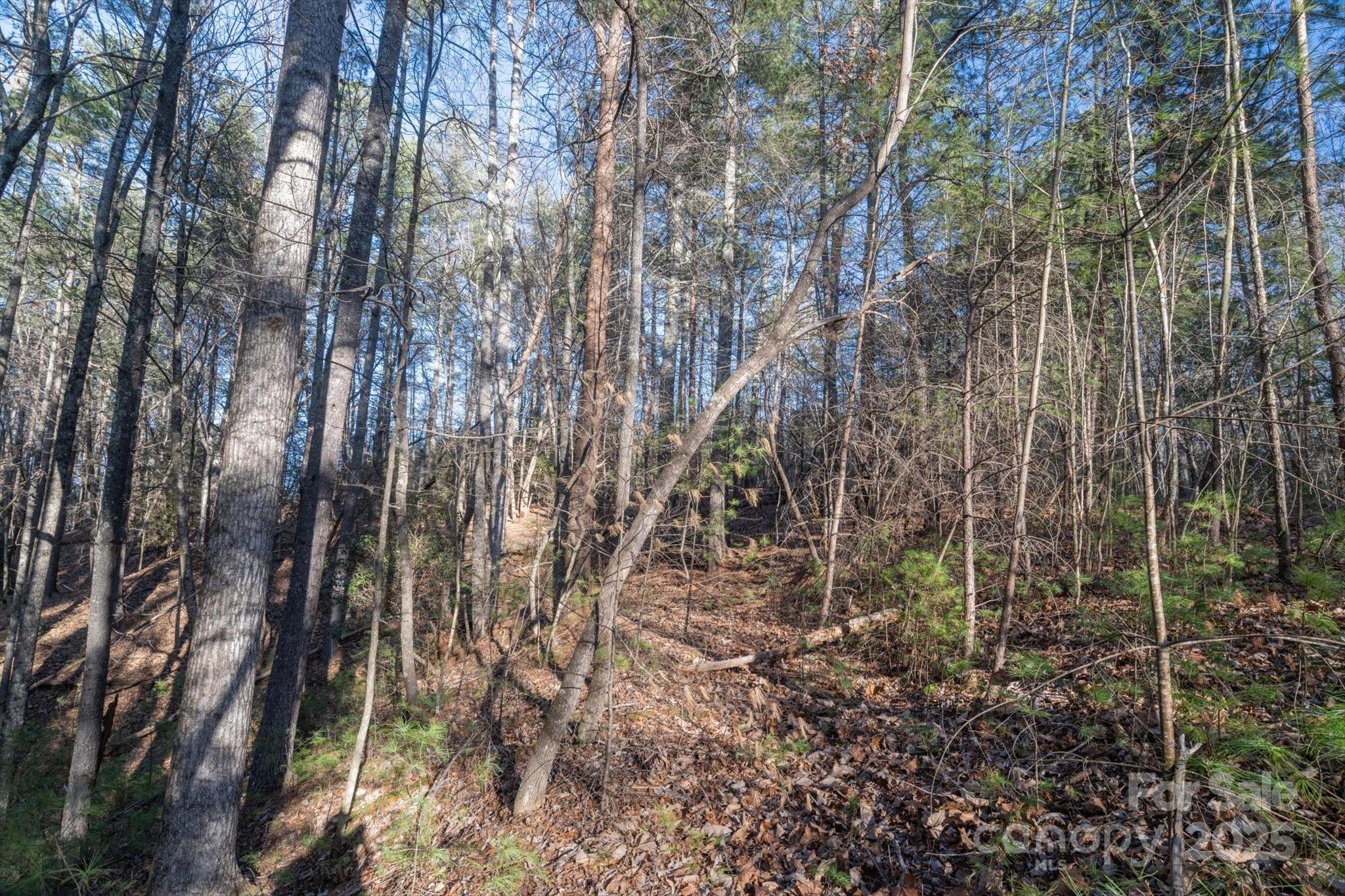 49 Lake James Road Marion NC 28752