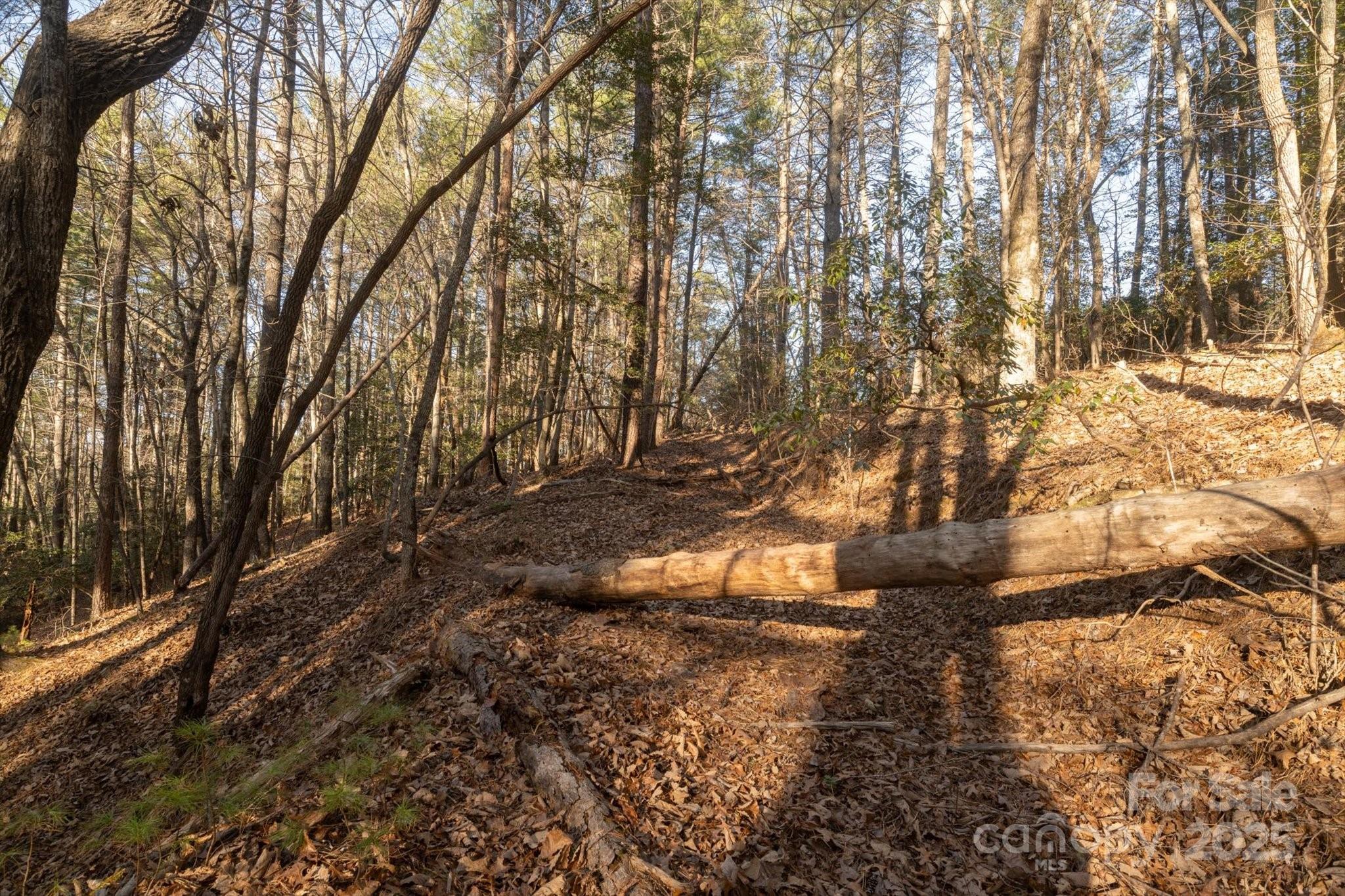 49 Lake James Road Marion NC 28752