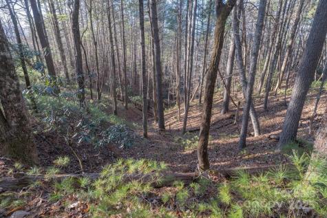 49 Lake James Road Marion NC 28752