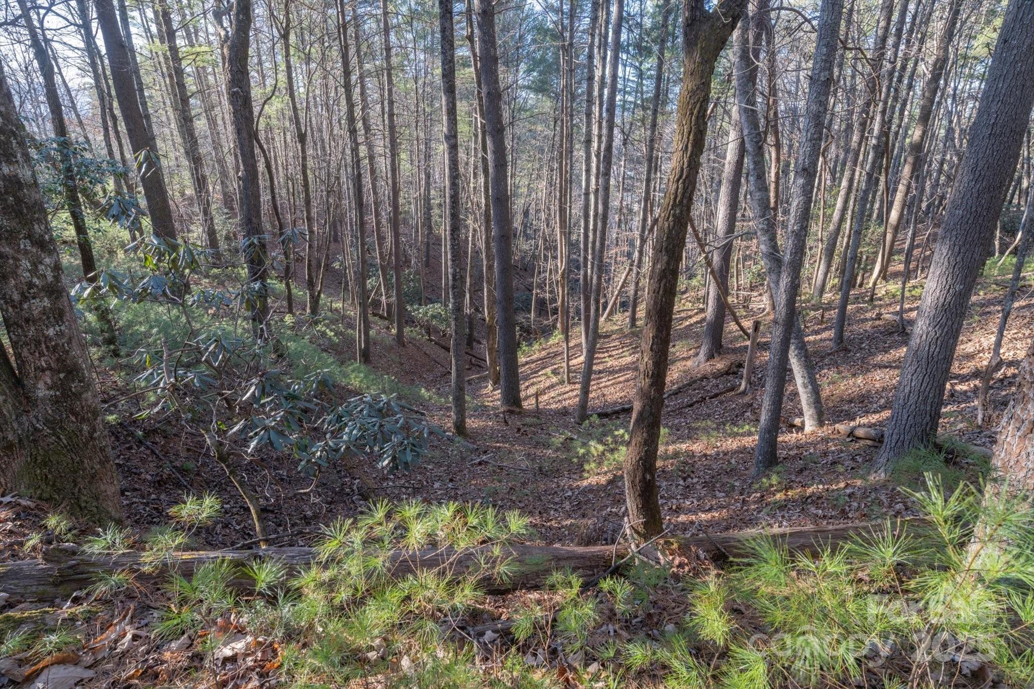 49 Lake James Road Marion NC 28752