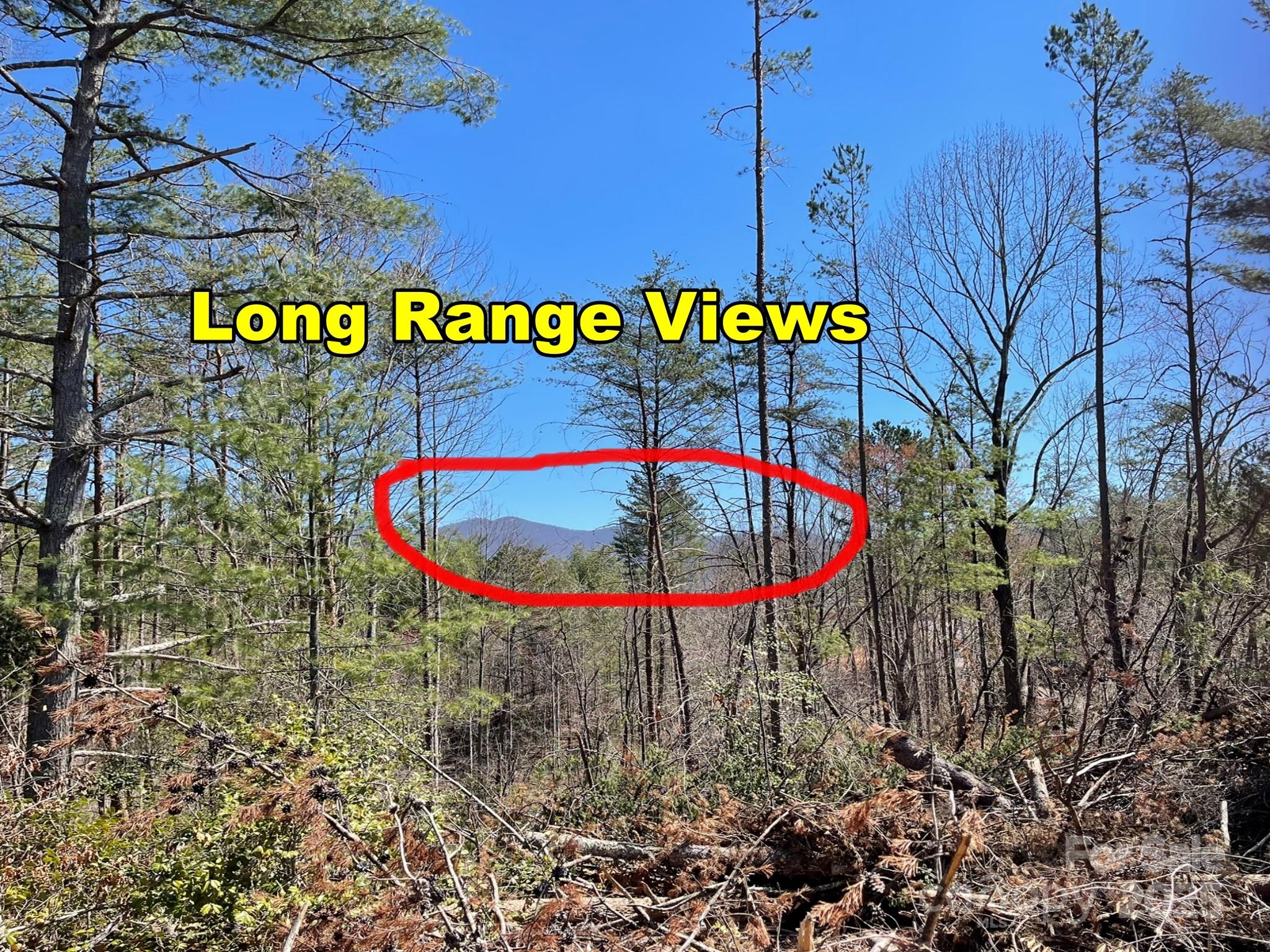 83 Union Chapel Road Weaverville NC 28787