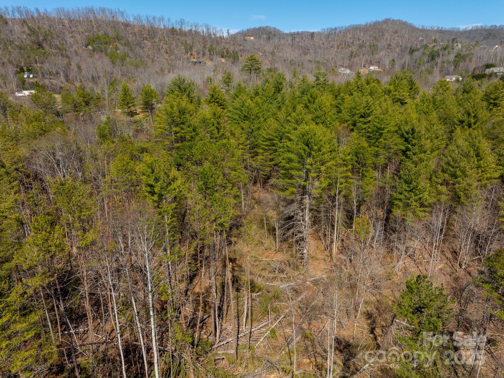 83 Union Chapel Road Weaverville NC 28787