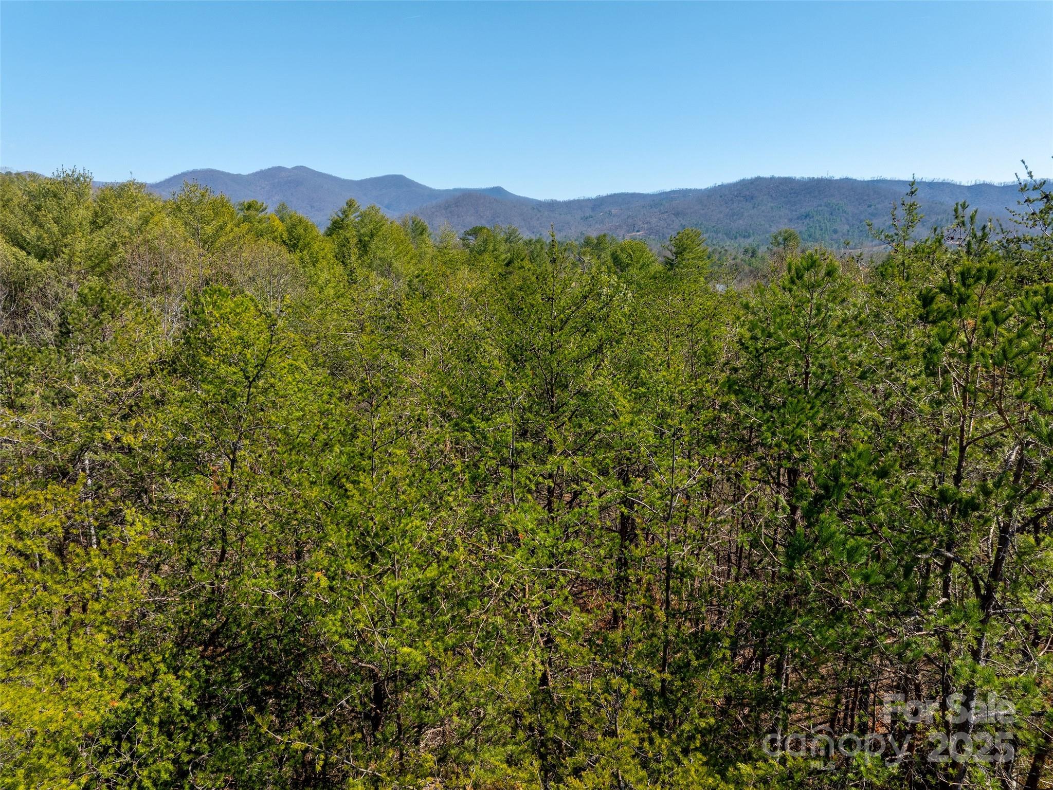 83 Union Chapel Road Weaverville NC 28787