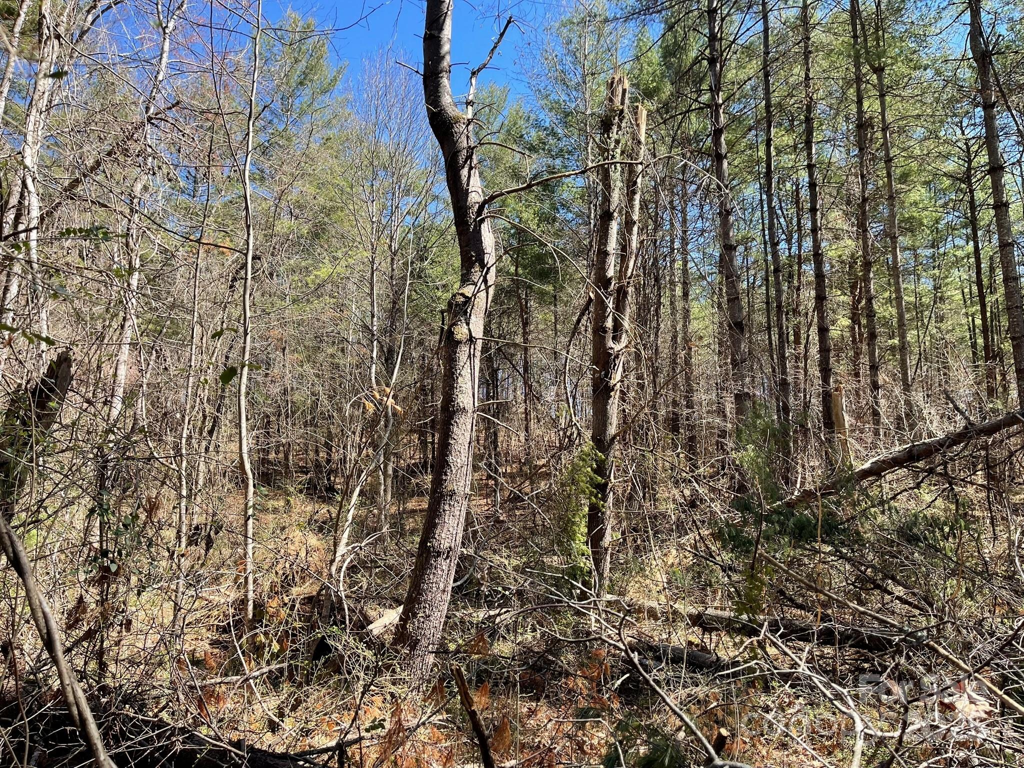 83 Union Chapel Road Weaverville NC 28787