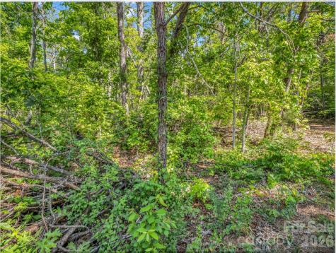 9999 Sedgewood Court Fairview NC 28730