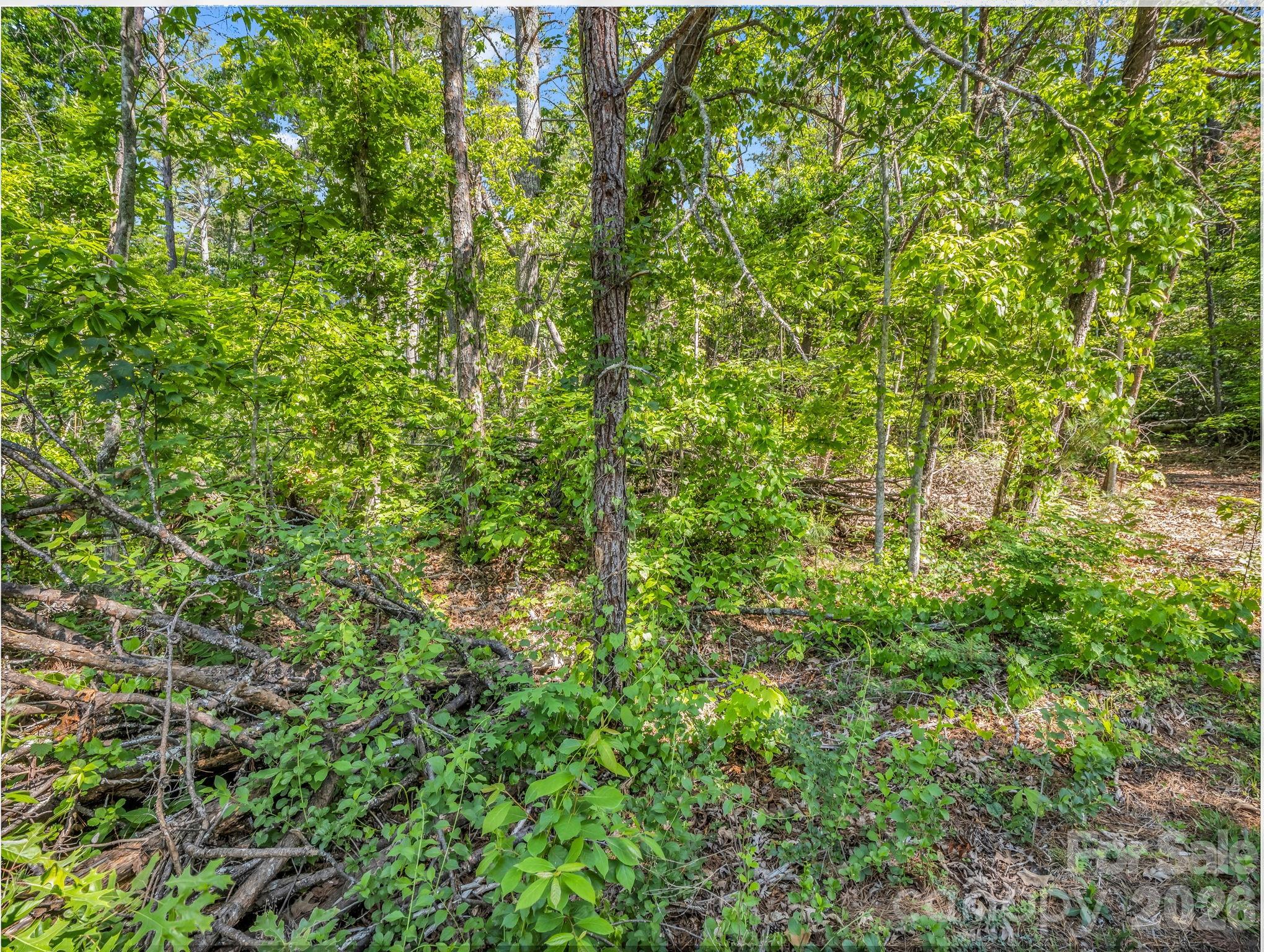 9999 Sedgewood Court Fairview NC 28730