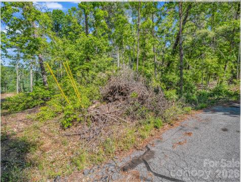 9999 Sedgewood Court Fairview NC 28730