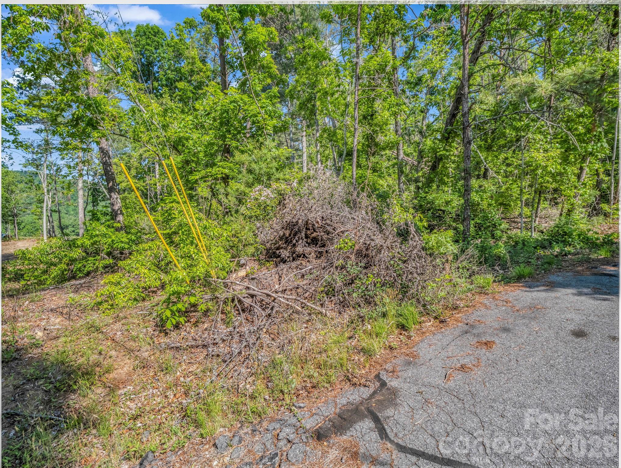 9999 Sedgewood Court Fairview NC 28730