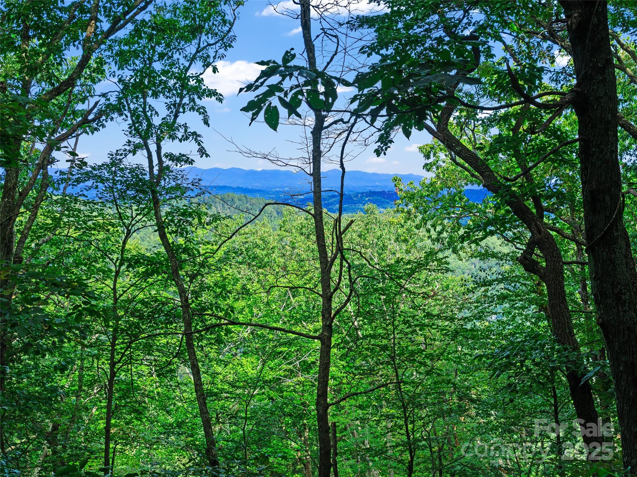 125 Floribunda Path Asheville NC 28803