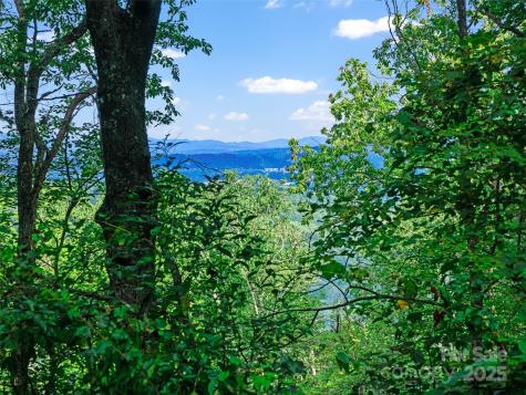 125 Floribunda Path Asheville NC 28803