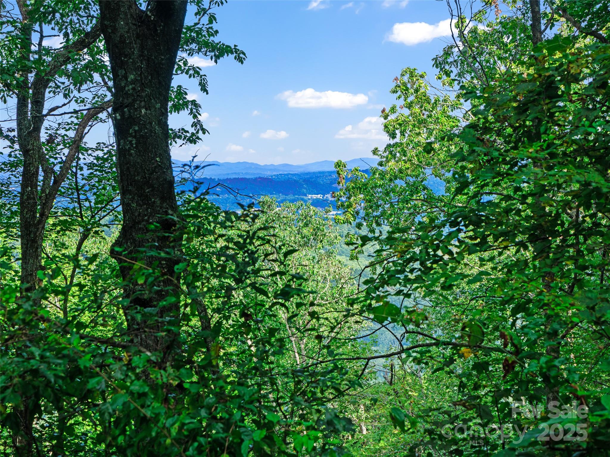 125 Floribunda Path Asheville NC 28803