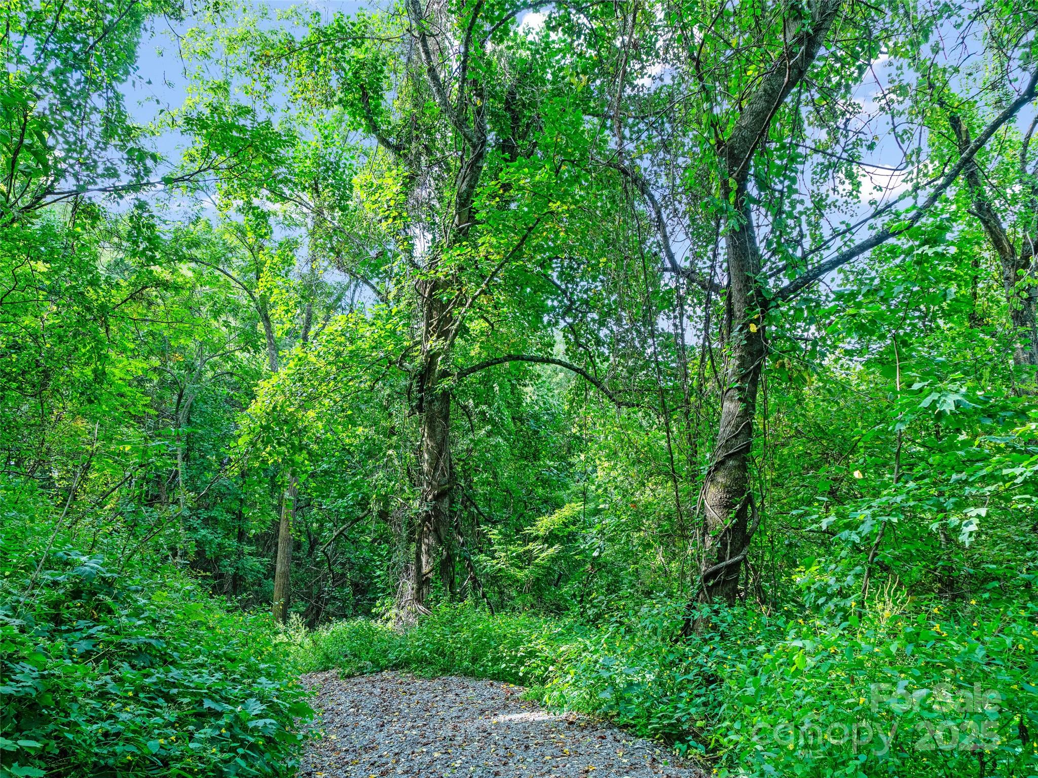 125 Floribunda Path Asheville NC 28803
