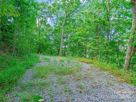 125 Floribunda Path Asheville NC 28803