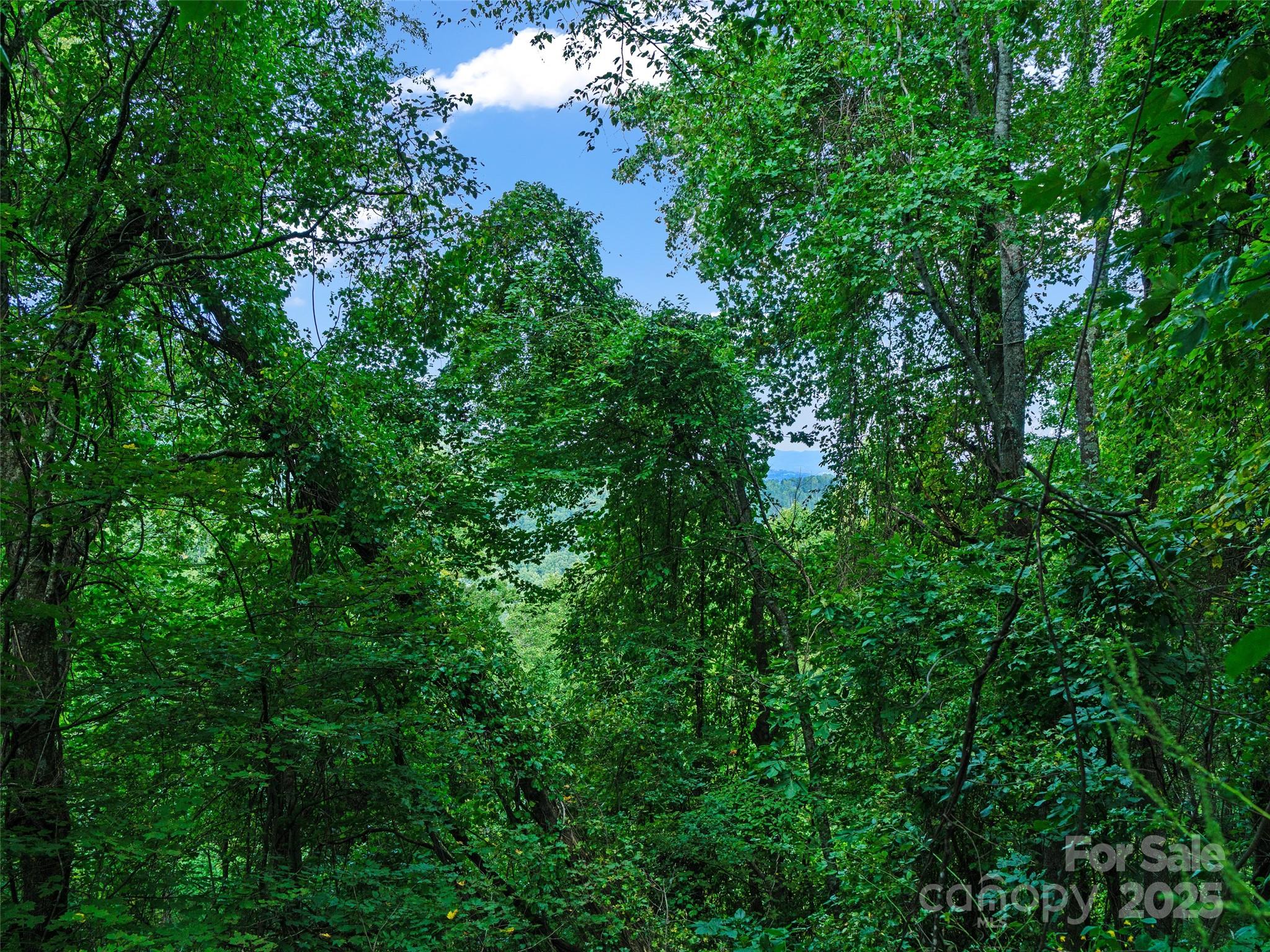 125 Floribunda Path Asheville NC 28803
