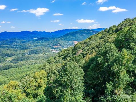 125 Floribunda Path Asheville NC 28803