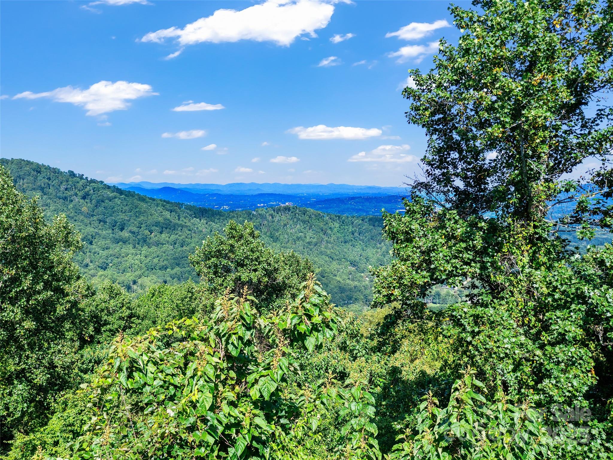 125 Floribunda Path Asheville NC 28803